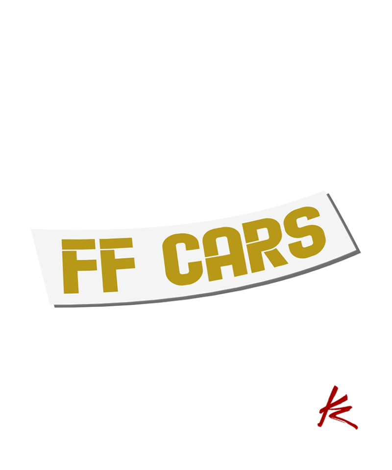 FF CARS samolepka